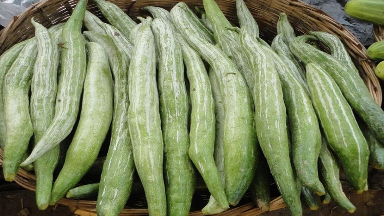 Snake Gourd Health benefits: పాములాంటి ఈ కాయతో హైబీపీ, మధుమేహానికి చెక్ పెడుతుంది.. మరిన్ని ఆరోగ్య ప్రయోజనాలు తెలుసుకోండి..