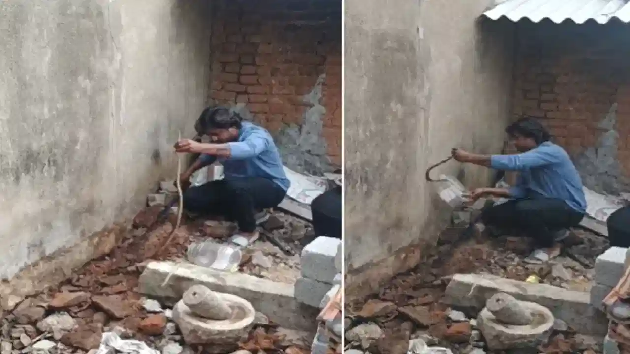 Video Viral: మట్టిలోకి వెళ్లిన పామును పట్టుకున్న వ్యక్తి.. ఈ వీడియో చూస్తే నిజంగా గూస్ బంప్సే!!