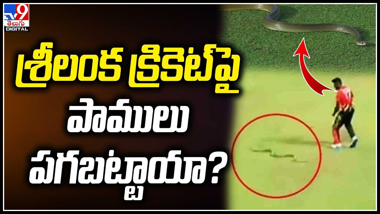 Viral: మైదానంలోకి మళ్లీ దూసుకొచ్చిన పాము.. త్రుటిలో తప్పించుకున్న ఫీల్డర్.. వీడియో.