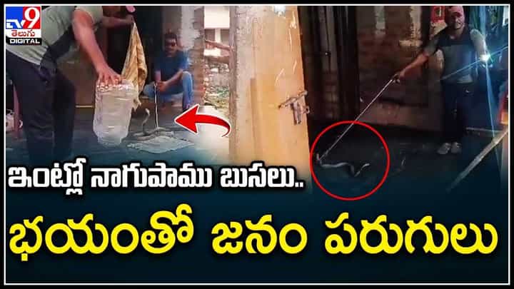 Khammam: ఇంట్లో నాగుపాము బుసలు.. భయంతో జనం పరుగులు. వీడియో Khammam: ఇంట్లో నాగుపాము బుసలు.. భయంతో జనం పరుగులు. వీడియో
