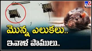 Viral: ఈ రైతు ఐడియాకి నెటిజన్లు షాక్‌.. పొలం ఇలాకూడా దున్నుతారా..! వీడియో.