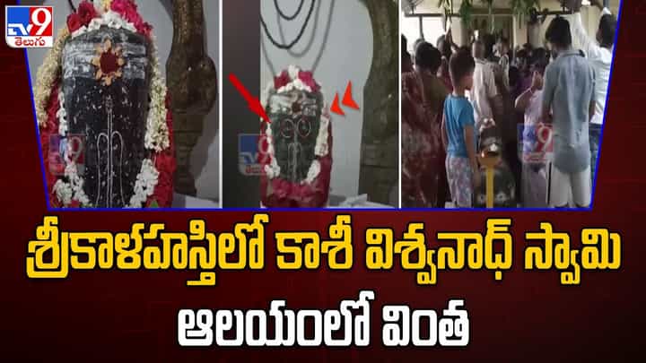 Watch Video: శ్రీకాళహస్తిలో శివలింగం కళ్లు తెరిచిందని ప్రచారం.. వింతను చూసేందుకు భారీగా తరలివస్తున్న భక్తులు Watch Video: శ్రీకాళహస్తిలో శివలింగం కళ్లు తెరిచిందని ప్రచారం.. వింతను చూసేందుకు భారీగా తరలివస్తున్న భక్తులు