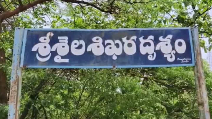 Srisailam: శ్రీశైలంలో కొబ్బరి చిప్పల కోసం వచ్చిన ఎలుగుబంటి.. వీడియో చూశారా..? Srisailam: శ్రీశైలంలో కొబ్బరి చిప్పల కోసం వచ్చిన ఎలుగుబంటి.. వీడియో చూశారా..?