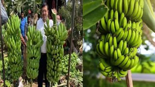 Petrol Diesel Price: పెట్రోల్, డీజిల్ ధరలు కూడా తగ్గుతాయా? కీలక అప్‌డేట్స్ మీకోసం..