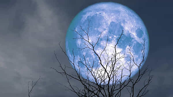 Super Blue Moon 2023: ఇవాళ ఆకాశంలో అద్భుతం.. కనిపించనున్న సూపర్ బ్లూ మూన్.. సమయం ఇదే..