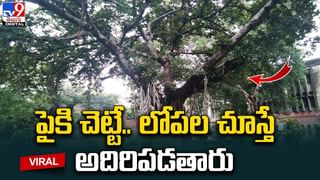 తప్పతాగి అతను చేసిన పనికి 11 మంది బలి