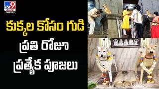 ఫోన్‌తోపాటు అమ్మాయి హార్ట్‌నూ దోచిన దొంగవెధవ