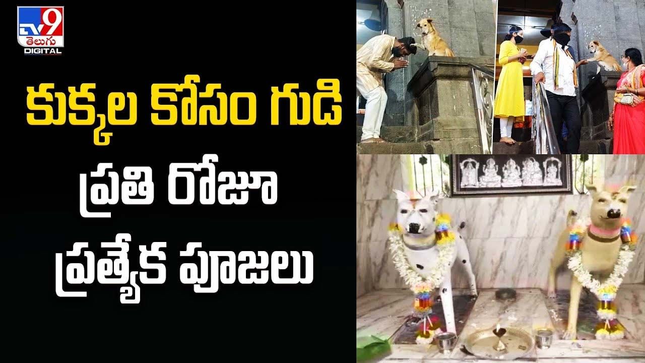 కుక్కల కోసం గుడి !! కర్ణాటక గ్రామ ప్రజలు ప్రతి రోజూ ప్రత్యేక పూజలు