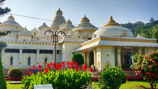 Tirumala Museum: తిరుమల వైభవాన్ని చాటి చేప్పేలా 3 ఎకరాల్లో రూ. 145 కోట్లతో మ్యూజియం నిర్మాణం.. డిసెంబర్ కి పూర్తి