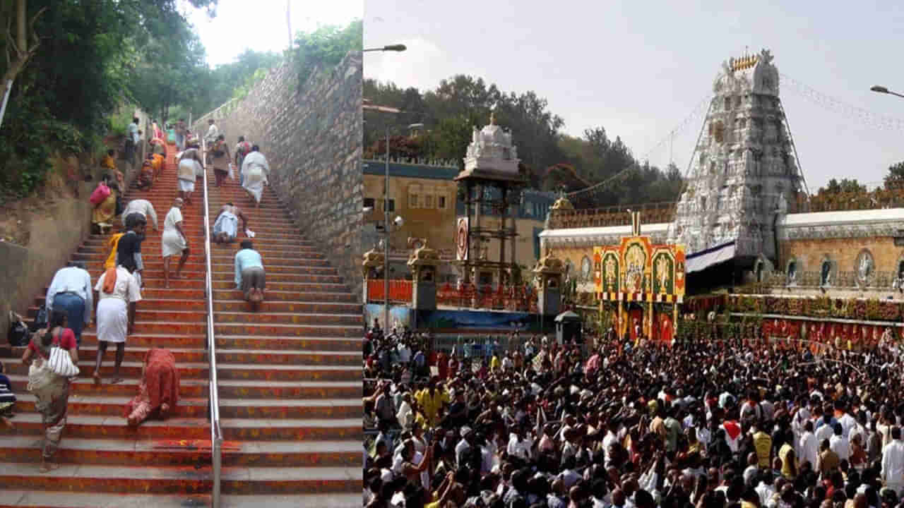Tirumala Tirupati: భక్తుల భద్రత కోసం టీటీడీ చర్యలు.. ప్రతి ఒక్కరికి కర్ర.. డ్రోన్లు వాడాలని నిర్ణయం