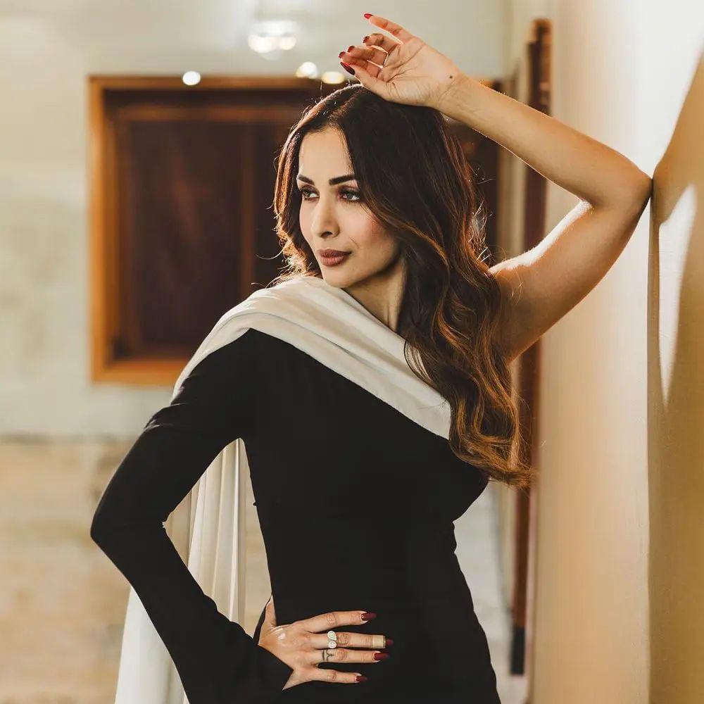 Malaika Arora: చాలా రోజులుగా డేటింగ్‌లో మలైకా అరోరా, అర్జున్‌ కపూర్ విడిపోయారన్న వార్తలు వైరల్‌ అయ్యాయి. కొద్ది రోజులుగా ఈ ఇద్దరు కలిసి ఉన్న ఫోటోలు బయటకు రాకపోవటం... అర్జున్‌, మలైకా కూడా కలిసి దిగిన ఫోటోలు షేర్ చేయకపోవటంతో ఈ అనుమానాలు కలిగాయి. తాజాగా ఇద్దరు కలిసి డిన్నర్‌ డేట్‌కు వెళ్లిన వీడియో బయటకు రావటంతో రూమర్స్‌కు చెక్‌ పడింది.