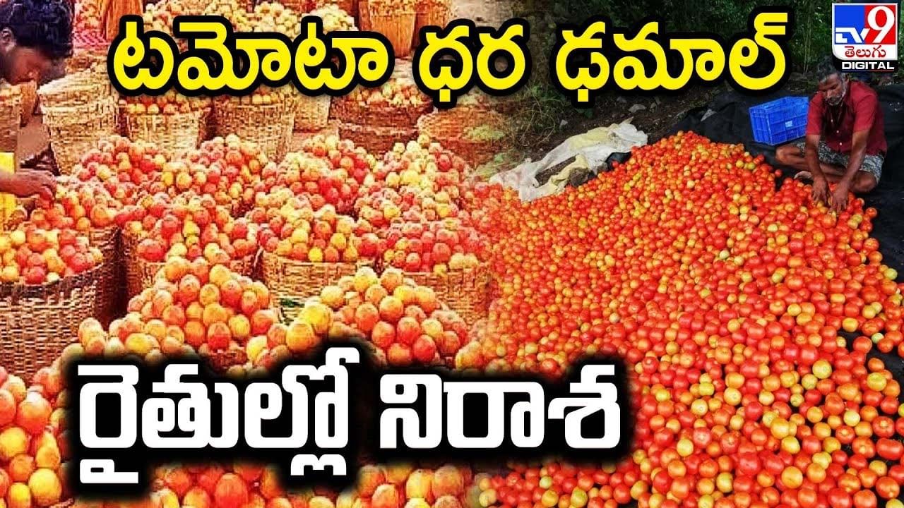 Tomato price: టమోటా ధర ఢమాల్-రైతుల్లో నిరాశ