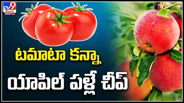 Tomato Price: టమాటా కన్నా యాపిల్ పళ్లే చీప్.. ఏంటీ ఈ వింత..! వీడియో.. Tomato Price: టమాటా కన్నా యాపిల్ పళ్లే చీప్.. ఏంటీ ఈ వింత..! వీడియో..