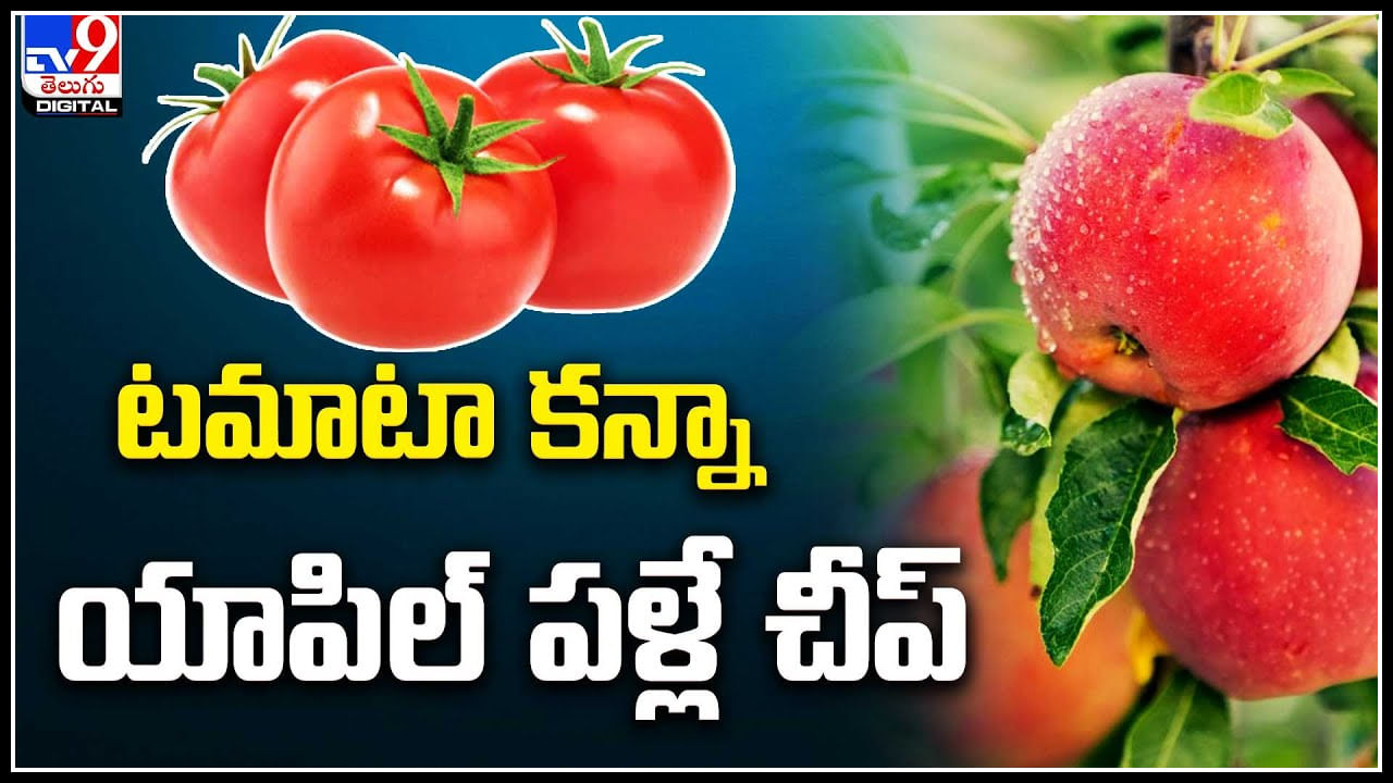 Tomato Price: టమాటా కన్నా యాపిల్ పళ్లే చీప్.. ఏంటీ ఈ వింత..! వీడియో..