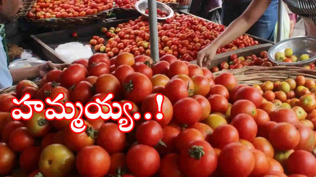 Tomato Price in Hyderabad: సామాన్యుడికి ఊరట..! దిగొస్తున్న టమాటా ధరలు.. ప్రస్తుతం కిలో టమాట ధర ఎంతంటే..