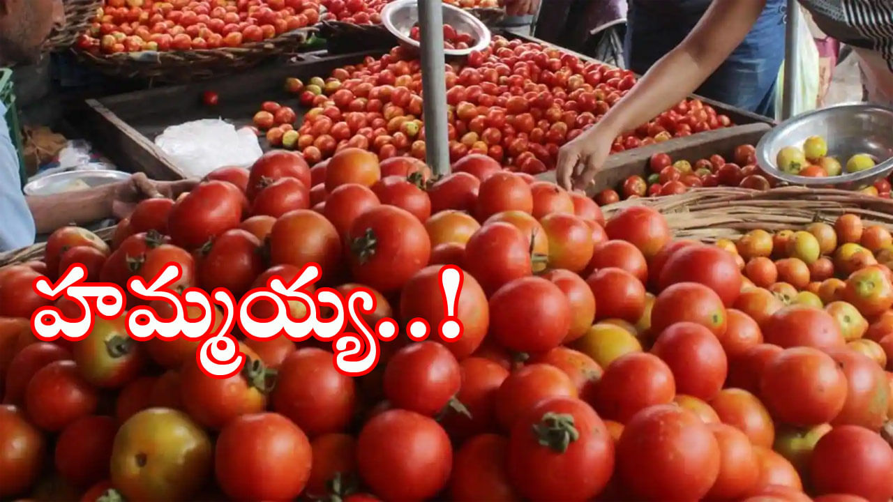 Tomato Price in Hyderabad: సామాన్యుడికి ఊరట..! దిగొస్తున్న టమాటా ధరలు.. ప్రస్తుతం కిలో టమాట ధర ఎంతంటే..