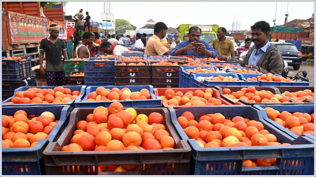 ఇక ఏపీలోని రాయలసీమలోని అనంతపురం, చిత్తూరు, కర్ణాటక నుంచి భారీగా టమాటా దిగుబడి అవుతోంది. తెలంగాణలోనూ టమాటా దిగుబడి పెరిగింది. అంతేకాకుండా రంగారెడ్డి, వికారాబాద్, మెదక్ జిల్లాల నుంచి కూడా టమాటా అధికంగా రవాణా కావడంతో హైదరాబాద్‌లోని వివిధ రైతు బజార్లలో శుక్రవారం మొదటి రకం టమాటా కిలో రూ.30 నుంచి రూ.40 పలికింది.