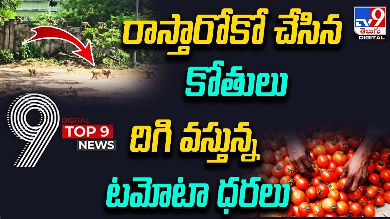 Digital TOP 9 NEWS: రాస్తారోకో చేసిన కోతులు | దిగి వస్తున్న టమోటా ధరలు