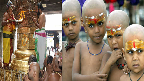 TTD Hair Donation: తిరుమల శ్రీవారికి కాసులు కురిపిస్తోన్న కురులు.. భక్తుల తలనీలాల ఆదాయం ఎంతో తెలుసా?