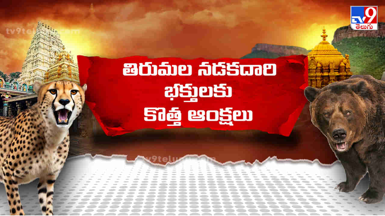 Tirumala News: శ్రీవారి భక్తుల భద్రత కోసం సరికొత్త నిర్ణయం తీసుకున్న టీటీడీ.. ఆ రెండు మార్గాల్లో ఇక నుంచి..