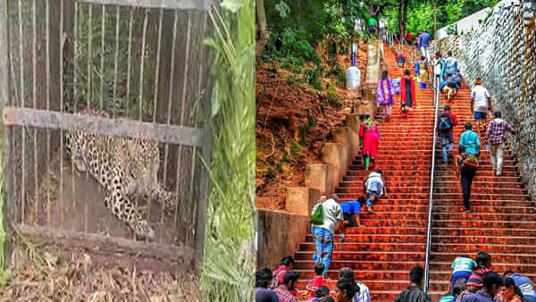 Tirumala: తిరుమలలో ఐదు చిరుతలు సంచరిస్తున్నట్టు అనుమానం.. కాలినడక మార్గాల్లో 320కి పైగా ట్రాప్ కెమెరాలు, 36 బోన్లు ఏర్పాటు..