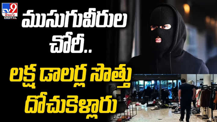 ముసుగువీరుల చోరీ.. లక్ష డాలర్ల సొత్తు దోచుకెళ్లారు ముసుగువీరుల చోరీ.. లక్ష డాలర్ల సొత్తు దోచుకెళ్లారు
