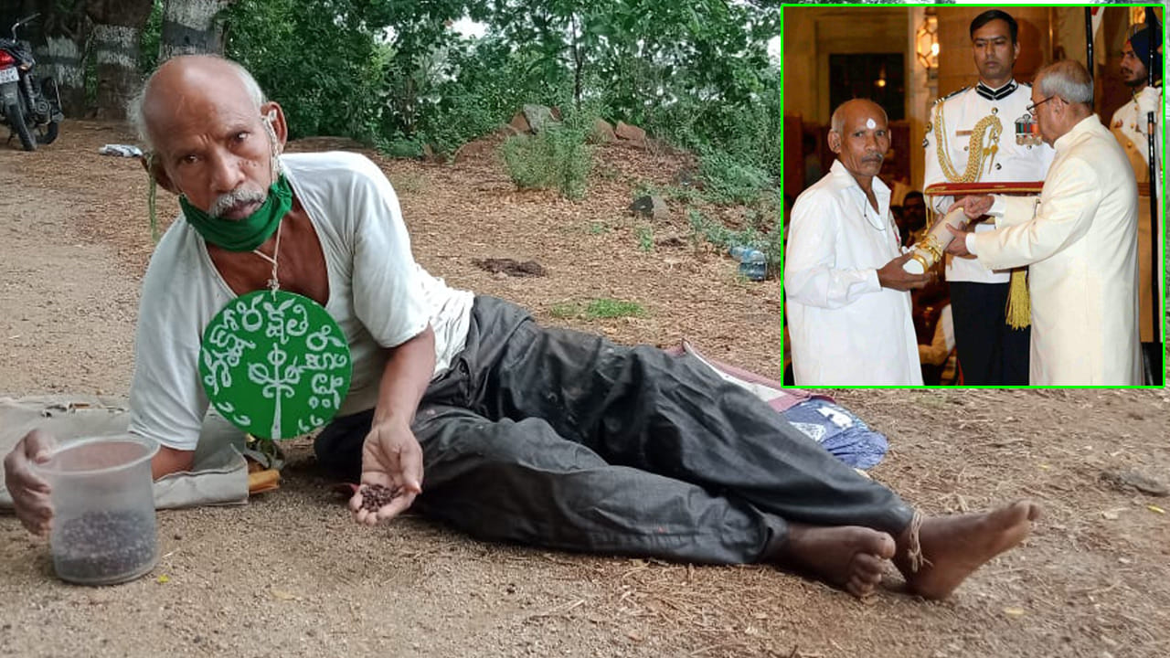 My India My LiFE Goals: ఆశయం కోసం భూమి అమ్ముకున్నారు.. పచ్చదనానికి నిలువెత్తు రూపం మన రామయ్య.. My India My LiFE Goals: ఆశయం కోసం భూమి అమ్ముకున్నారు.. పచ్చదనానికి నిలువెత్తు రూపం మన రామయ్య..