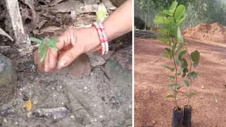 Eyelash: కళ్ల అందాన్ని రెట్టింపు చేసే ఐల్యాష్ మీరు వాడుతున్నారా? జాగ్రత్త.. మీ కంటి చూపు ప్రమాదంలో..