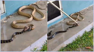 ఆకాశంలో వింత ఆకారం.. స్వర్గ ద్వారంలా వెలుగులు విరజిమ్ముతూ.. ట్రెండ్ అవుతున్న వీడియో