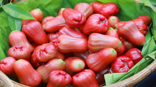 ఈ చిన్న విత్తనం మీ ఆరోగ్యానికి సంజీవని.. రోజు రెండు తింటే చాలు.. డాక్టర్‌తో పనిలేదట..!