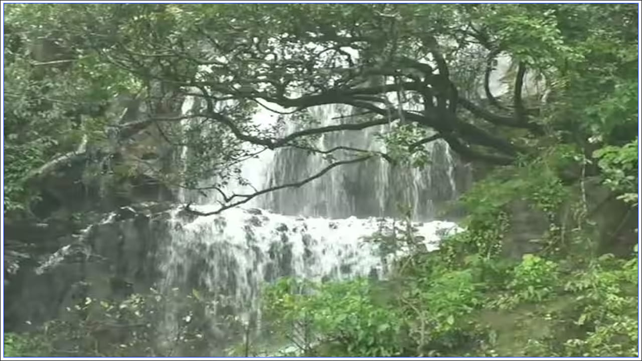 ఈ జలపాతం పర్యాటకులకు పెద్ద ఆకర్షణగా ఉంది. అలాగే ప్రతి వారాంతం లేదా సెలవుదినం ఇక్కడకు పెద్ద సంఖ్యలో జనం వస్తుంటారు.