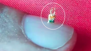 TSPICCC: నేటికి సరిగ్గా ఏడాది.. ఎన్నో కేసుల ఛేదనలో కీలకంగా నిఘా కళ్లు