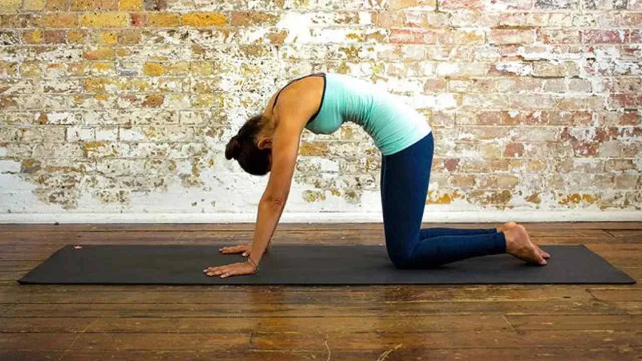 యోగాసనాల సమయంలో కండరాలు విస్తరించి శరీర ఉష్ణోగ్రత ఎక్కువగా ఉంటుంది. ఈ నేపథ్యంలో యోగా చేసిన వెంటనే స్నానం చేయకూడదు.