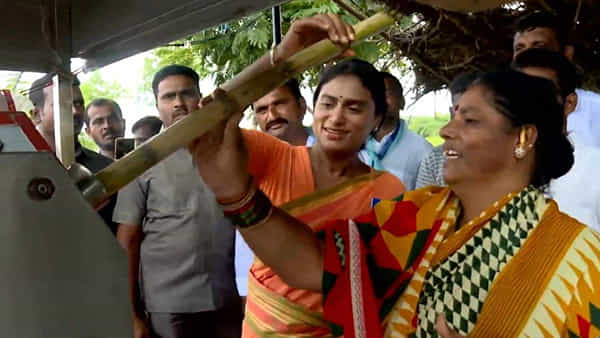 Y. S. Sharmila: ఇండియన్ బుక్ ఆఫ్ రికార్డ్స్లో వైయస్ షర్మిల.. అధిక దూరం పాదయాత్ర చేసిన మొదటి మహిళగా రికార్డ్..