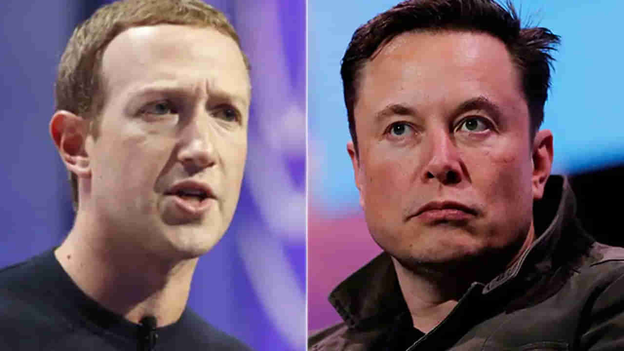 Zuckerberg: కేజ్ఫైట్ను మస్క్ సీరియస్గా తీసుకోవడం లేదన్న జూకర్ బర్గ్.. ఎలాన్ మస్క్ ఏమన్నారంటే