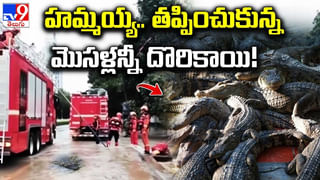 Viral: రెడ్ హ్యాండెడ్‌గా దొరికి.. రానంటూ చిన్నపిల్లడిలా మారాం చేసిన అధికారి..! వీడియో వైరల్..