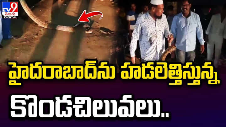 Hyderabad: మొన్న నిజాంపేట్లో నేడు రాజేంద్రనగర్లో.. హడలెత్తిస్తున్న 9 అడుగుల కొండచిలువలు.. Hyderabad: మొన్న నిజాంపేట్లో నేడు రాజేంద్రనగర్లో.. హడలెత్తిస్తున్న 9 అడుగుల కొండచిలువలు..