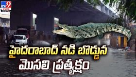 హైదరాబాద్ నడి బొడ్డున మొసలి ప్రత్యక్షం.. హైదరాబాద్ నడి బొడ్డున మొసలి ప్రత్యక్షం..