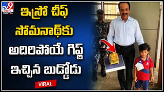 Watch: మొదటిసారి అద్దంలో తనను తాను చూసుకున్న ఎలుగుబంటి ఏం చేసిందో చూడండి..