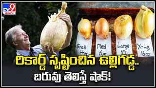 Marijuana Smuggling: పుష్ప స్టైల్‌లో గంజాయి స్మగ్లింగ్.. పోలీస్ చేజింగ్.. తీరా చూస్తే షాక్..!