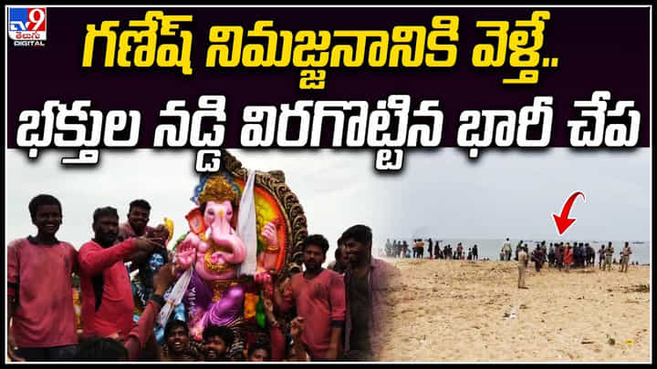 Viral: గణేష్ నిమజ్జనానికి వెళ్తే.. భక్తుల నడి విరగొట్టిన భారీ చేప..! వీడియో వైరల్. Viral: గణేష్ నిమజ్జనానికి వెళ్తే.. భక్తుల నడి విరగొట్టిన భారీ చేప..! వీడియో వైరల్.