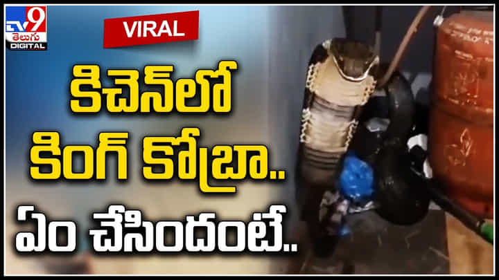 Viral Video: కిచెన్లోనుంచి వినిపించిన వింత శబ్దం.. ఏంటా అని చూసిన మహిళకు షాక్.! Viral Video: కిచెన్లోనుంచి వినిపించిన వింత శబ్దం.. ఏంటా అని చూసిన మహిళకు షాక్.!