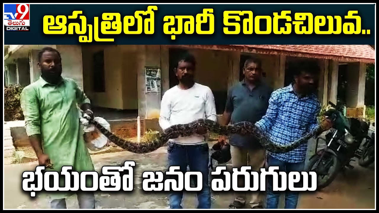 Python Video: ఆస్పత్రిలో భారీ కొండచిలువ.. భయంతో జనం పరుగులు.. వీడియో.