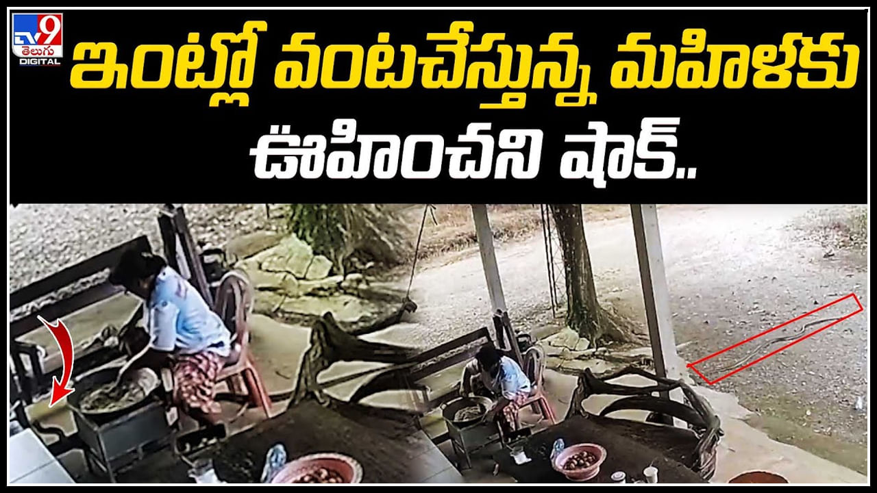 Viral Video: ఇంటిముందు వంటచేస్తున్న మహిళపై ఒక్కసారిగా మీదకు దూకిన కింగ్ కోబ్రా..! Viral Video: ఇంటిముందు వంటచేస్తున్న మహిళపై ఒక్కసారిగా మీదకు దూకిన కింగ్ కోబ్రా..!