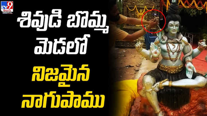Viral Video: వినాయక మండపంలో అద్భుతం.. శివుడి బొమ్మ మెడలో నిజమైన నాగుపాము.! Viral Video: వినాయక మండపంలో అద్భుతం.. శివుడి బొమ్మ మెడలో నిజమైన నాగుపాము.!