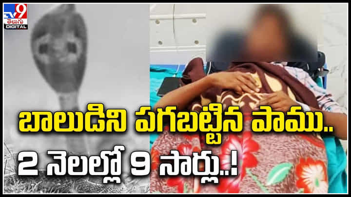 Viral Video: బాలుడిని పగబట్టిన పాము.. 2 నెలల్లో 9 సార్లు కాటు..! వీడియో. Viral Video: బాలుడిని పగబట్టిన పాము.. 2 నెలల్లో 9 సార్లు కాటు..! వీడియో.