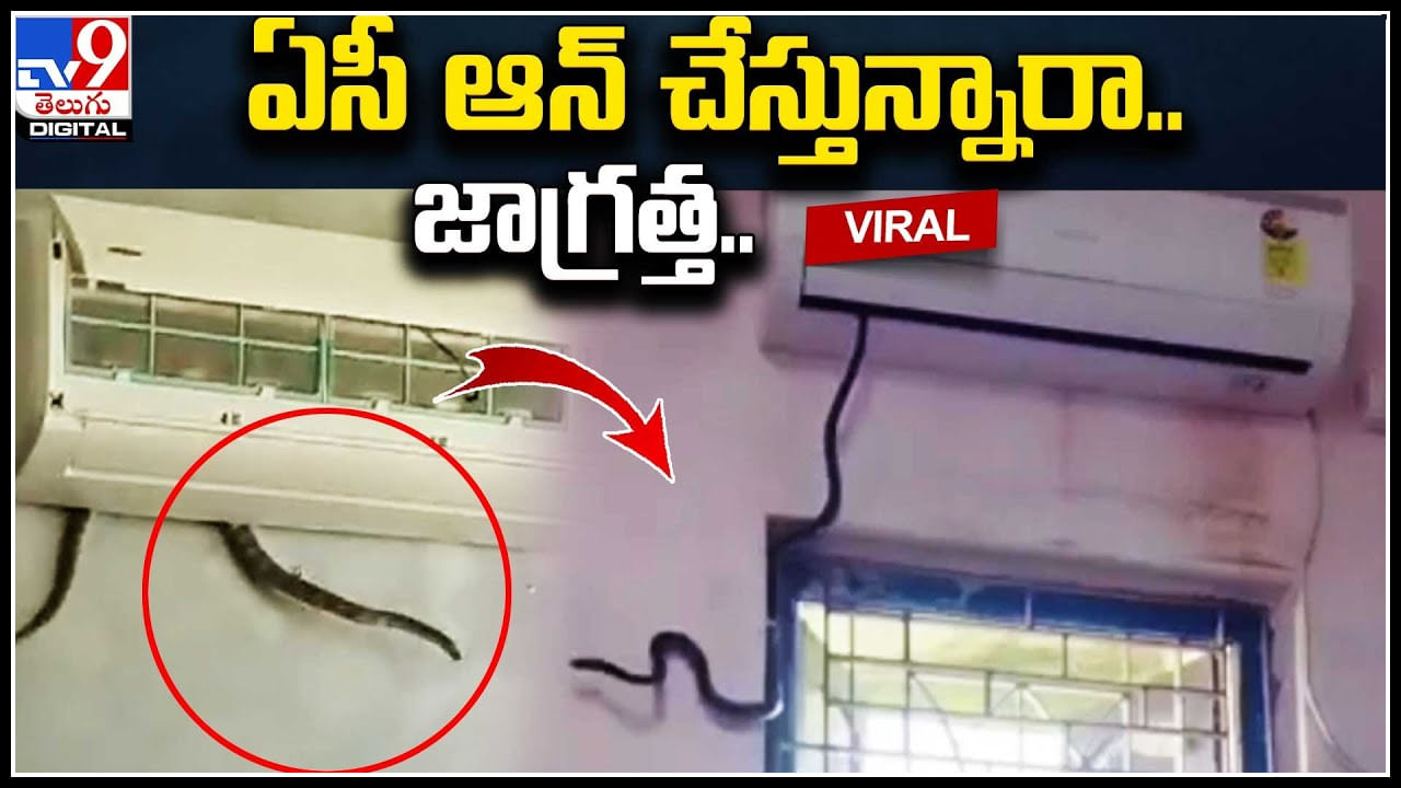 Snake in AC: ఏసీ ఆన్‌ చేస్తున్నారా.. జాగ్రత్త..! ఒక్కసారిగా బయట పడ్డ పాము..