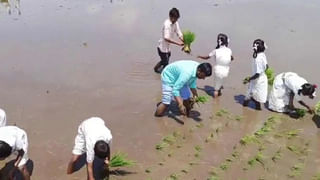 Viral: ఈ దేశంలో బిడ్డకు జన్మనిస్తే భారీ జరిమానా విధిస్తారు.. దీని వెనుక విచిత్ర కారణం..