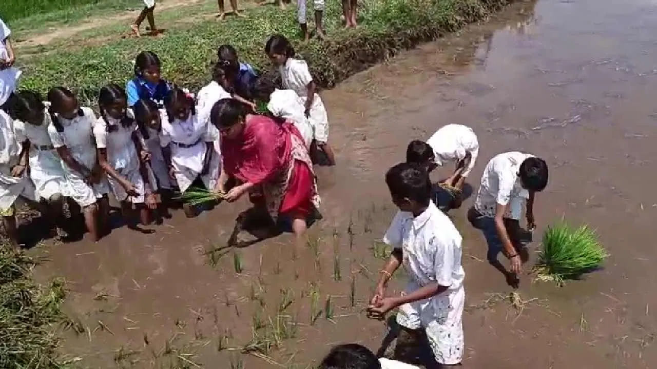 Agricultural Lesson
