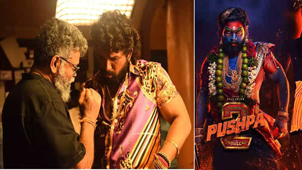 Pushpa 2: అల్లు అర్జున్ సినిమాకు ఇంత క్రేజ్ ఏంటి సామీ.. పుష్ప 2 సినిమాకు ఏకంగా 1000 కోట్ల ఆఫర్